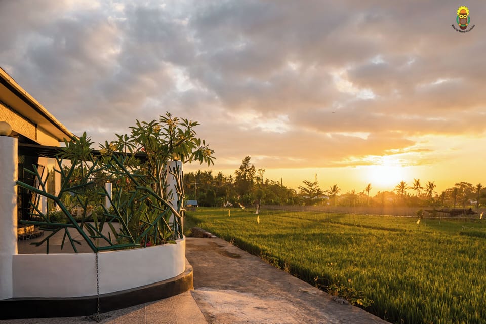 The sunset is beautiful