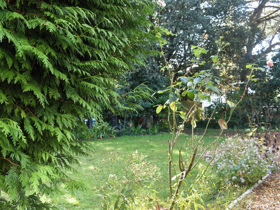 Garden | Flat 2, Langtry Apartment, Bournemouth