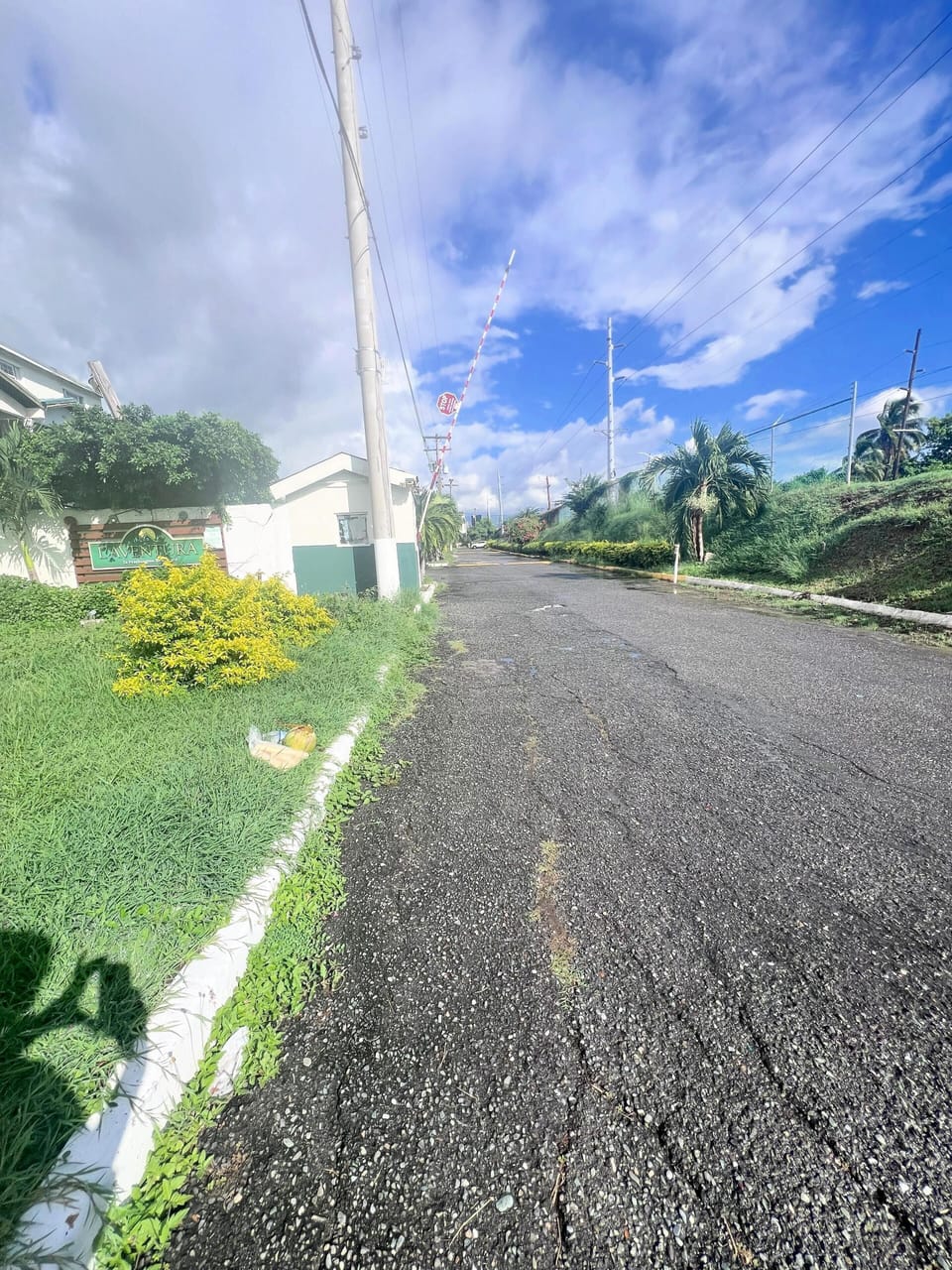 Miscellaneous