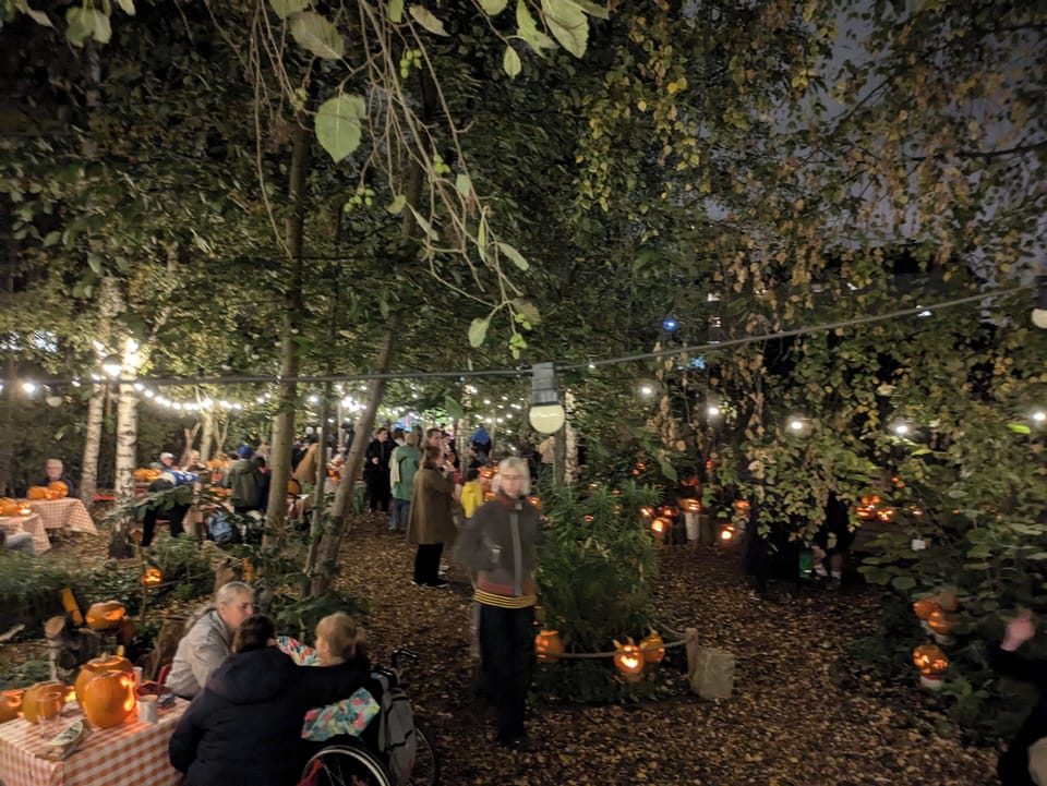 Dalston Curve Garden (10 mins walk away)