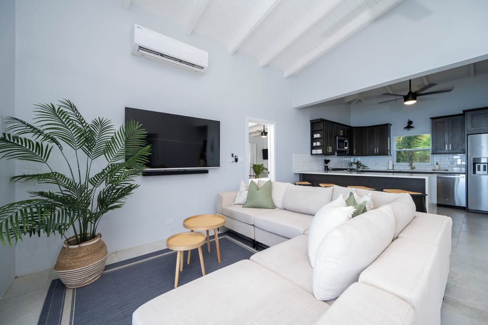 smart TV and sound system
