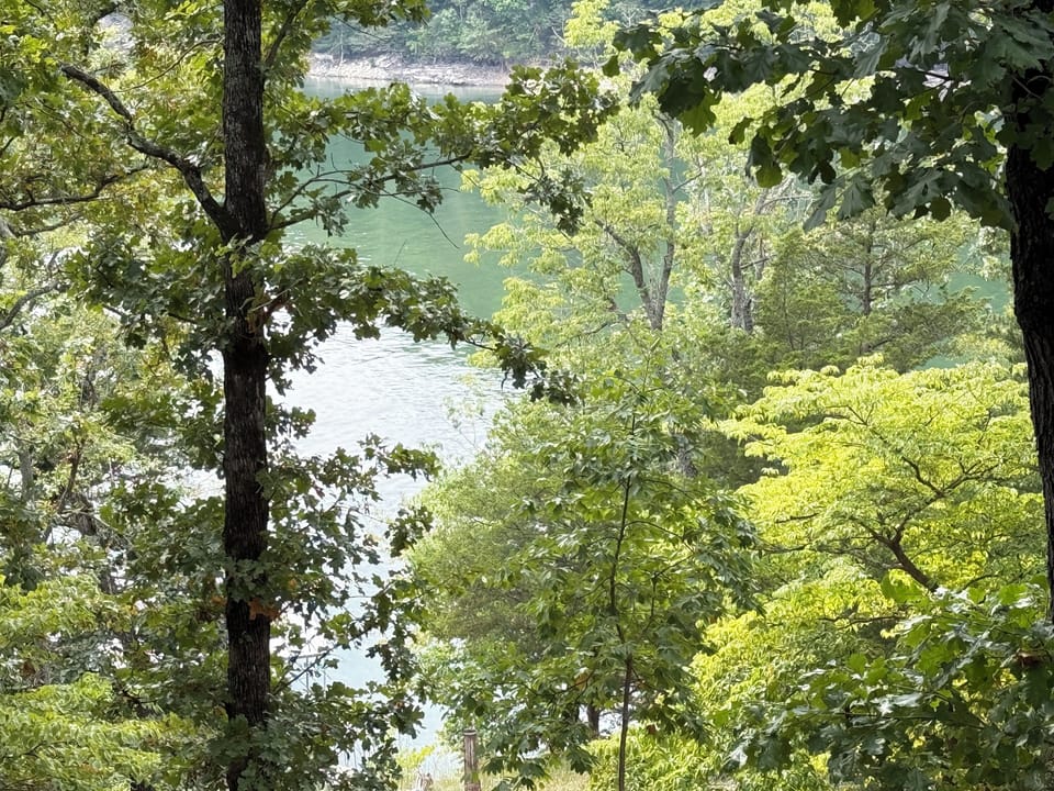 View of Lake