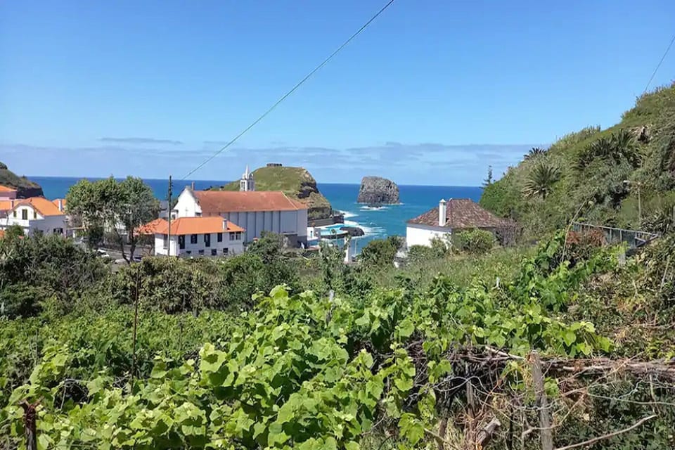 View from Holiday Home [summer]