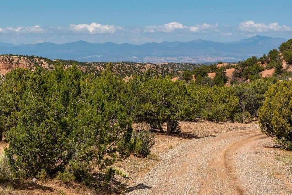 Views from Entry Driveway