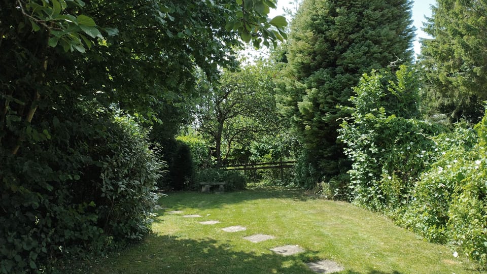 The charming cottage garden has space for the dogs to play