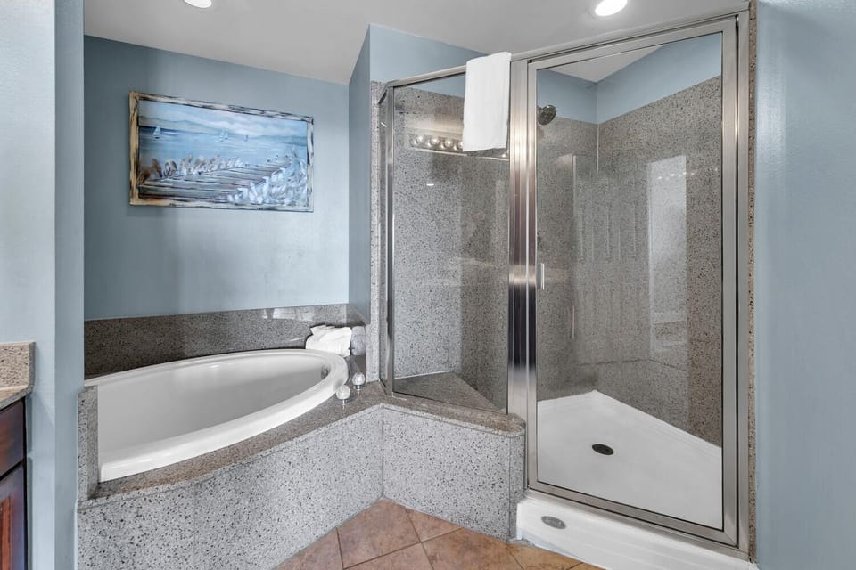 Master tub and shower