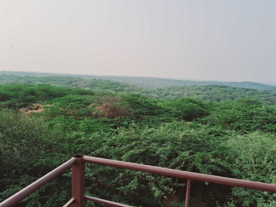 Super Luxury Farmhouse Resort in Gurugram