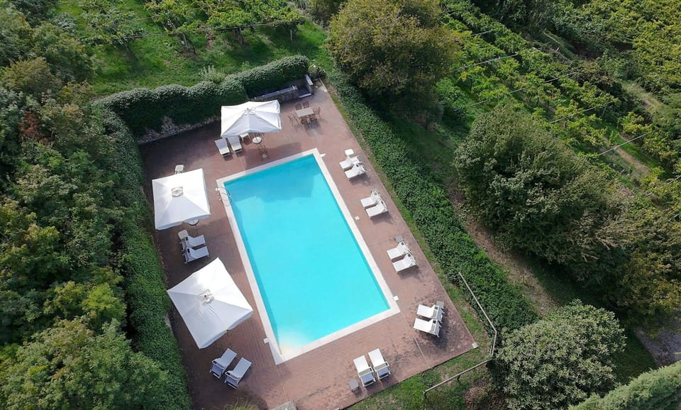 Autumn, Pool, Spring, Summer
