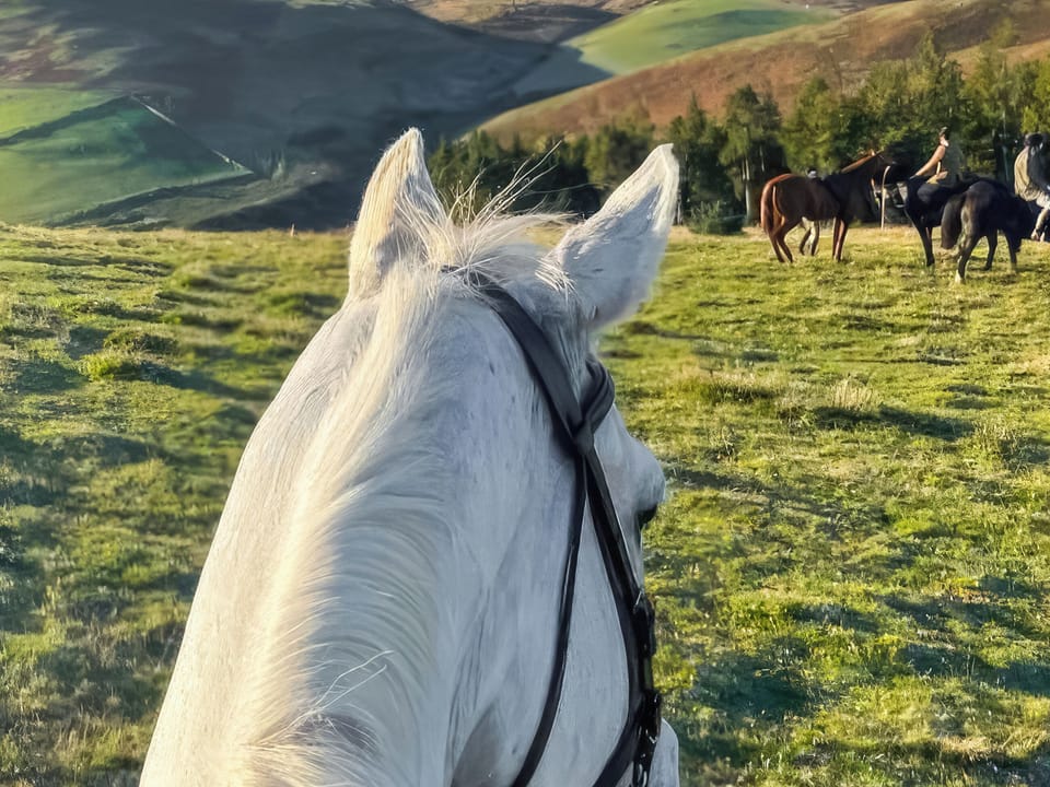 Surrounding area | Stewards Bothy - East Learmouth Farmstays, Berwick-upon-Tweed