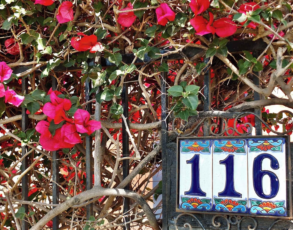 Enjoy your getaway relaxing by lush vining flowers in the front garden