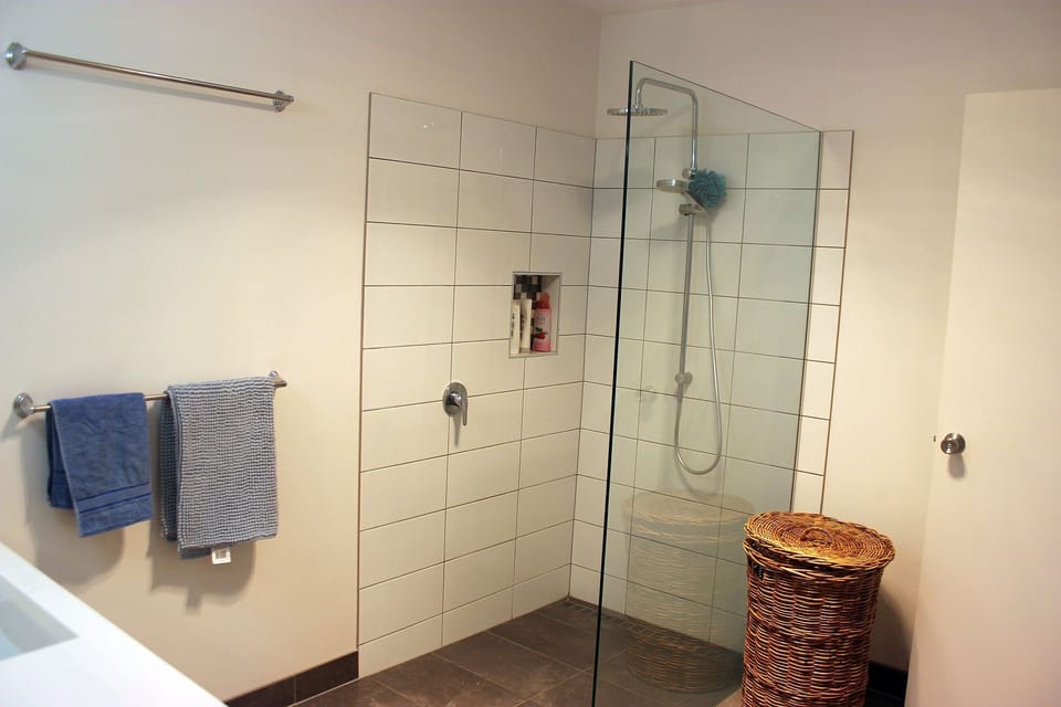 Shoiwer in bathroom
