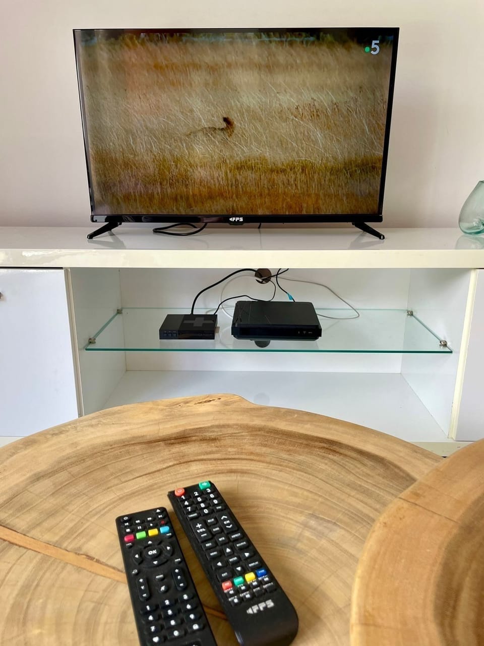 Television