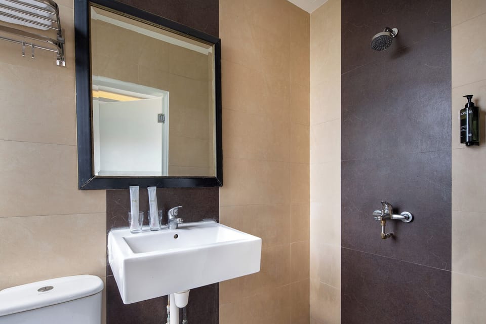 Shower, free toiletries, hair dryer, bidet