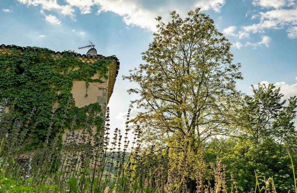 Jardins
