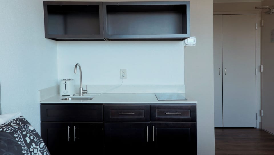 Deluxe Apartment, City View | Private kitchenette | Microwave, stovetop, dishwasher, coffee/tea maker