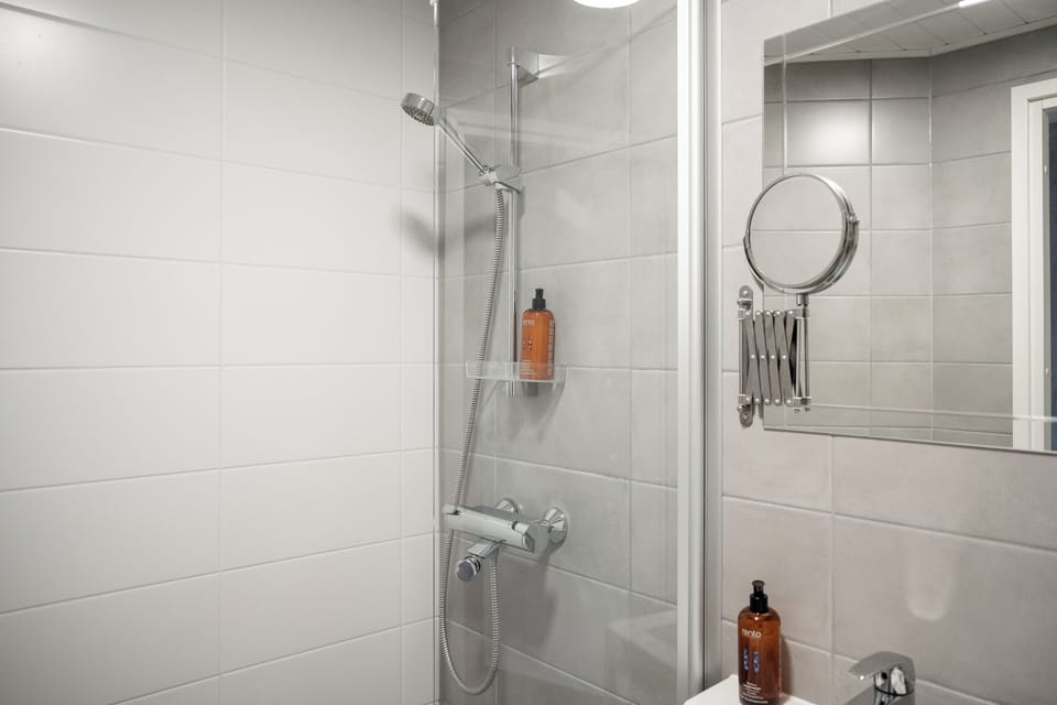 Single Room | Bathroom | Shower, hair dryer, towels, soap
