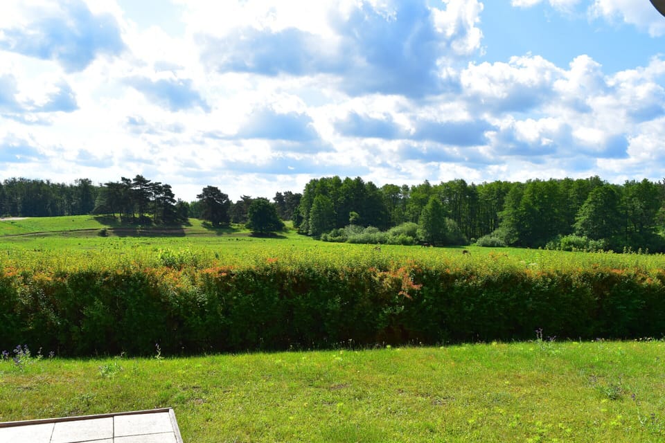 House | View from property