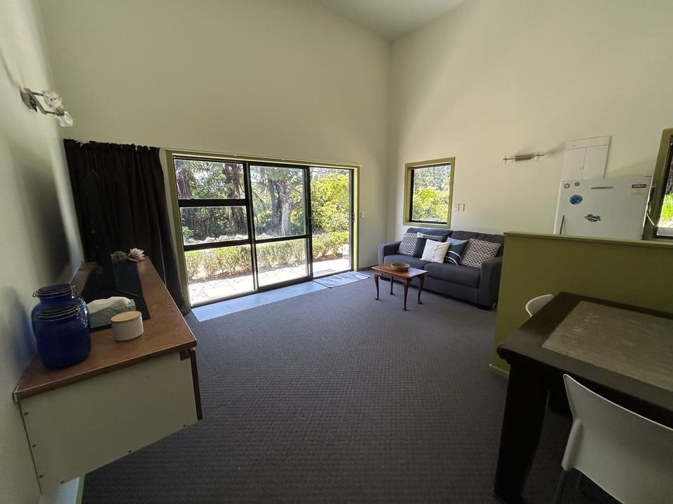 Lounge and double fold out couch