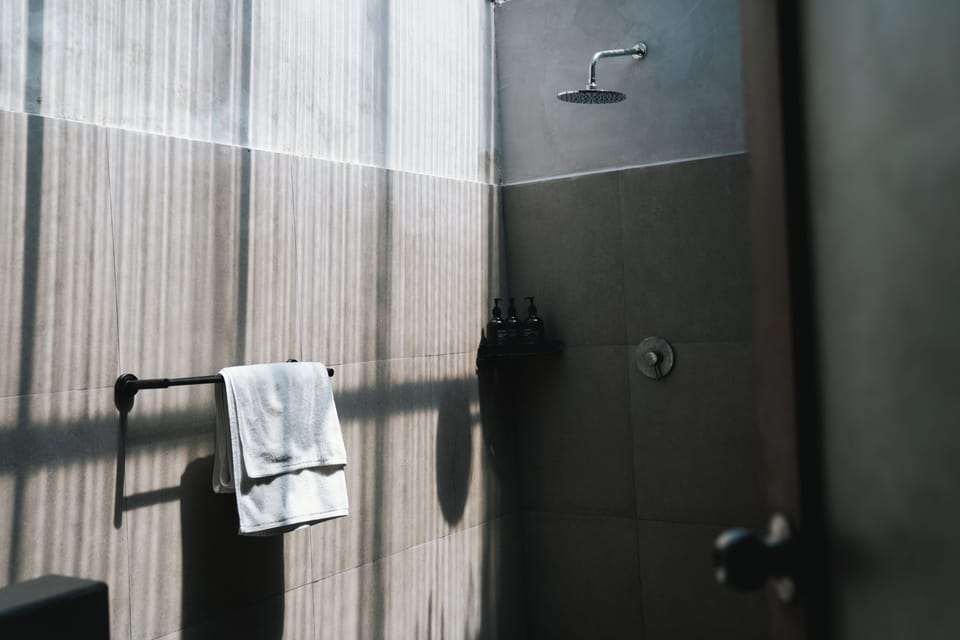 Shower, free toiletries, bidet, towels