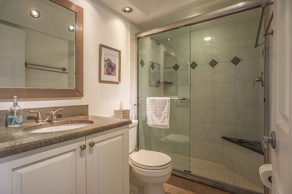 Newly Remodeled Master Bath En Suite has Walk In Shower