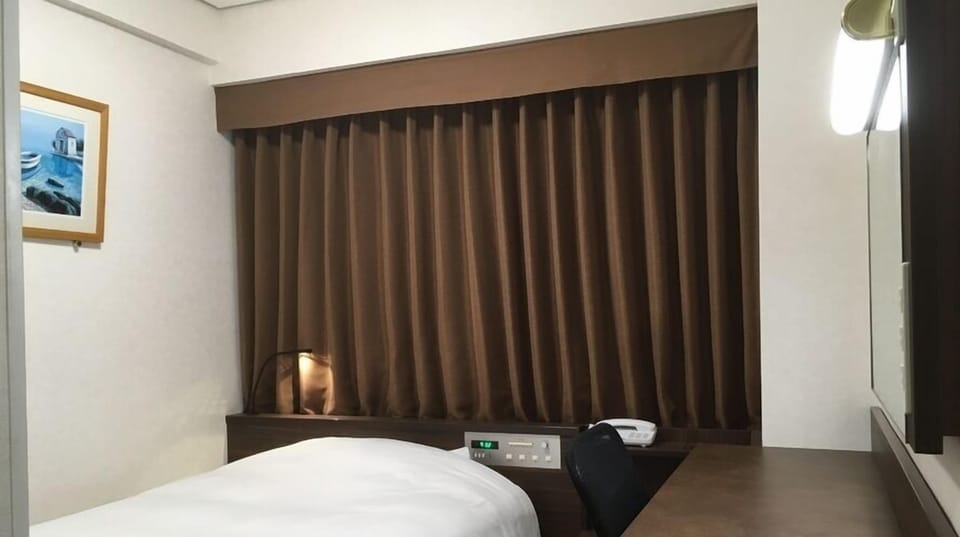Basic Single Room, City View | Desk, WiFi (free)
