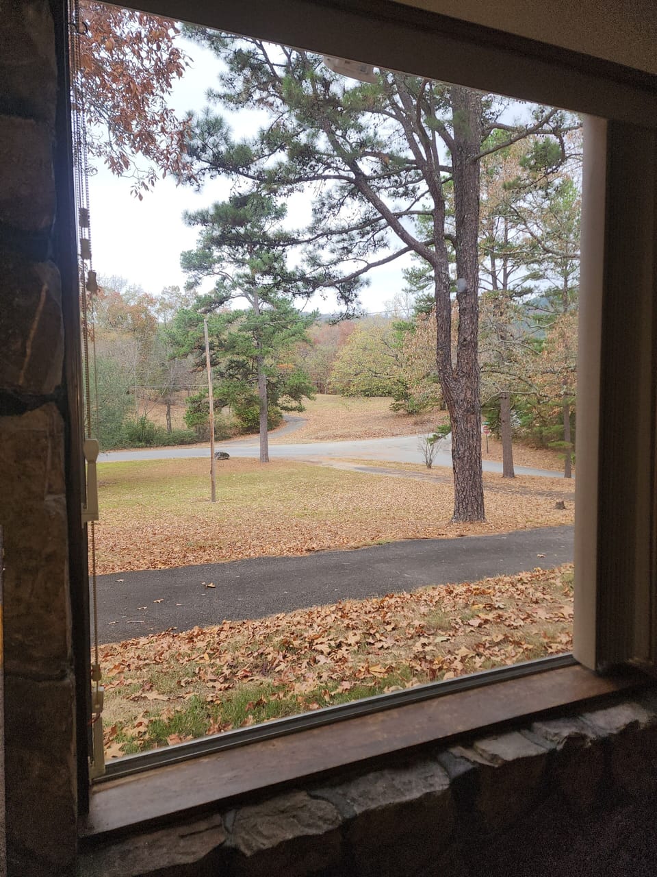 A big, beautiful window in the living room. 