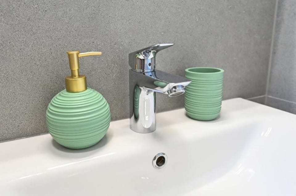 Hair dryer, towels, soap, toilet paper