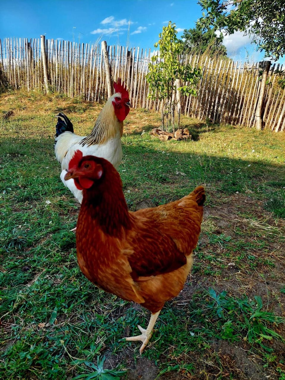 Miscellaneous