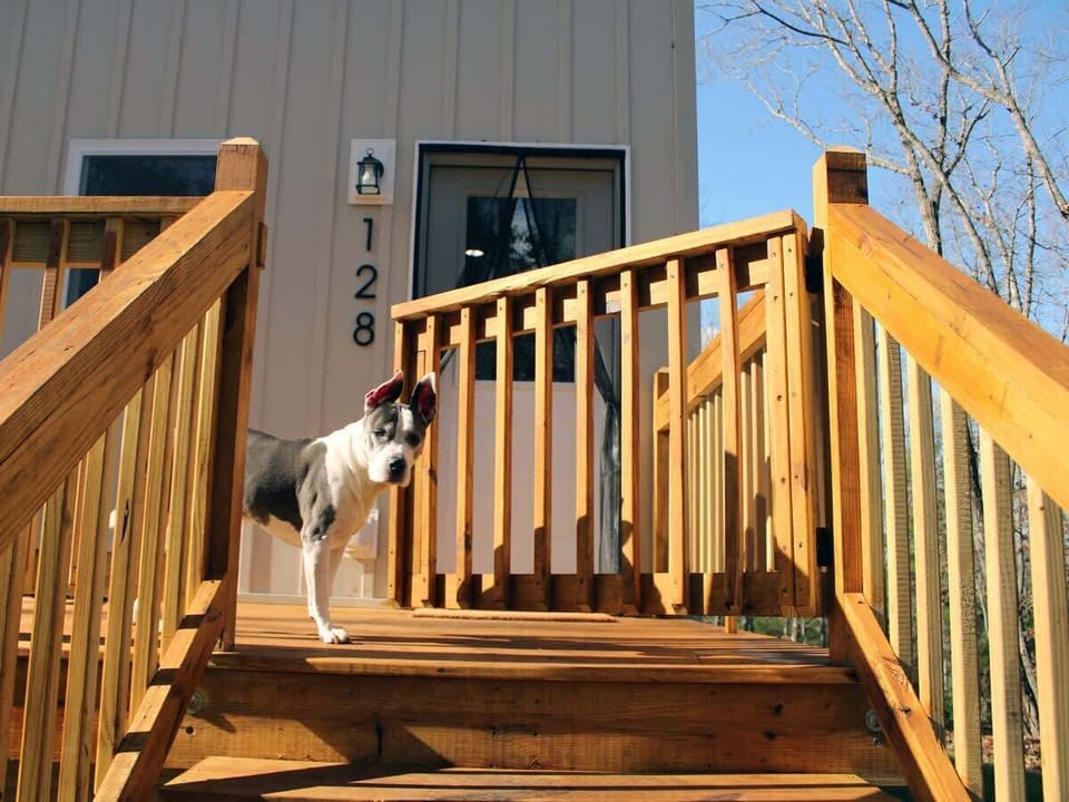 Pet Friendly -- deck is fully gated