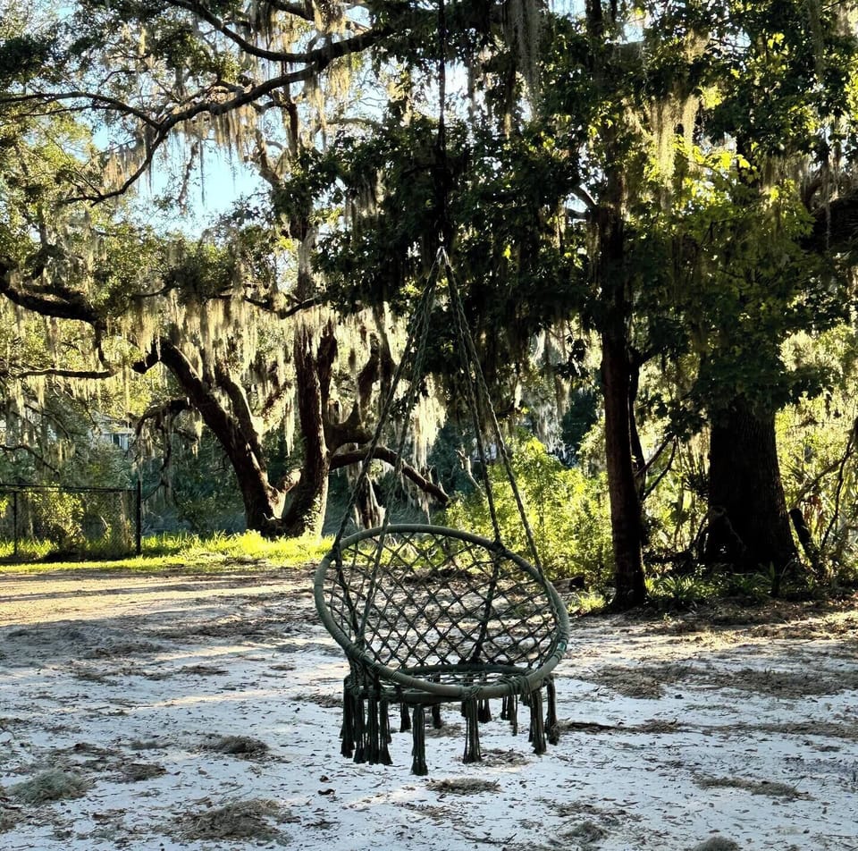 2 swing chairs hang from the oaks