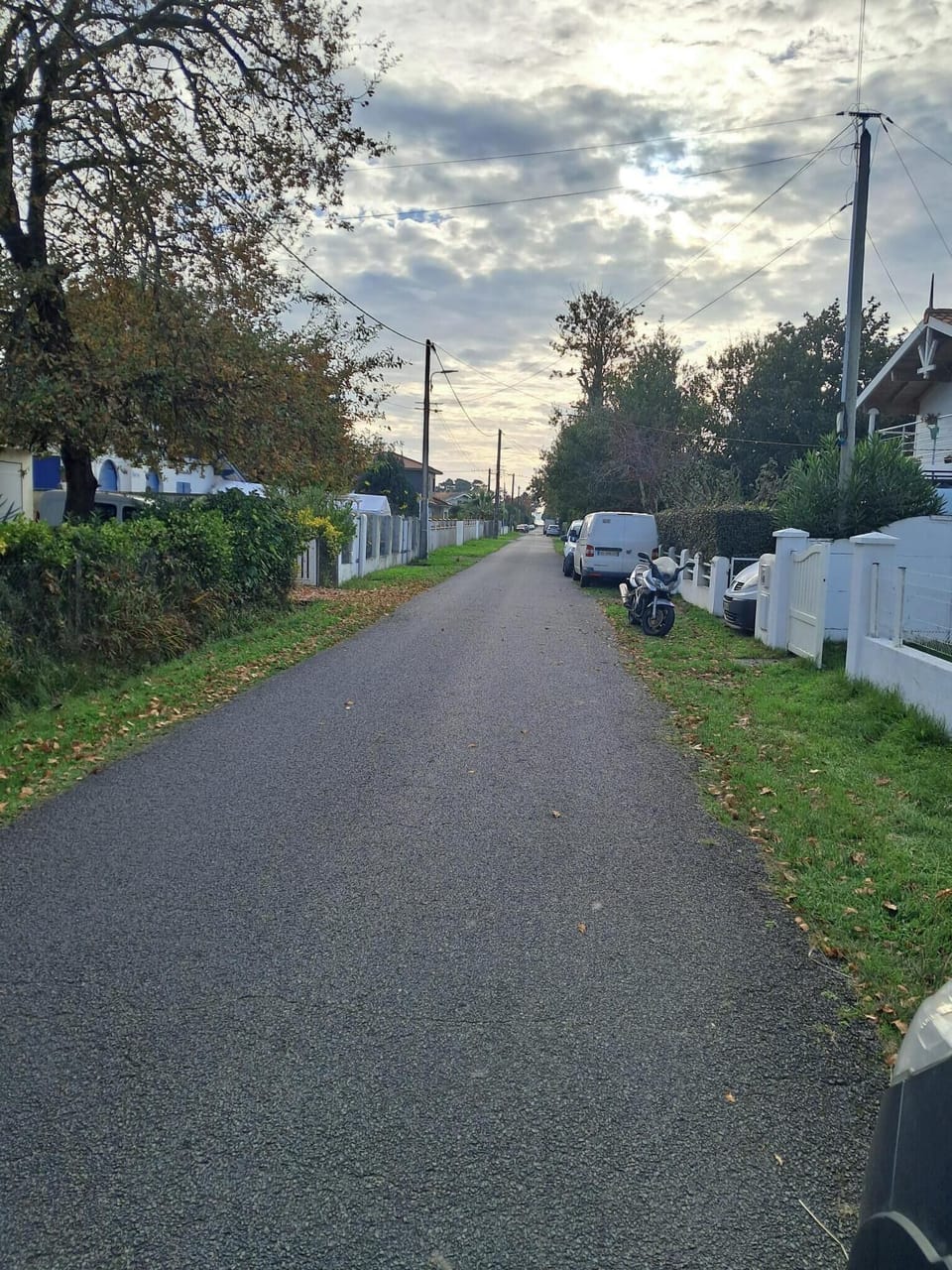 Miscellaneous