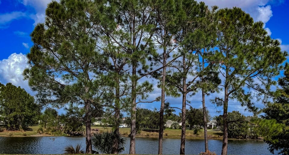 Marvelous Lake View!