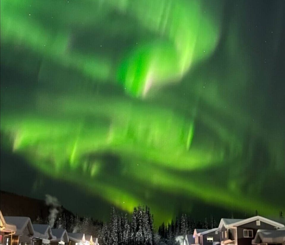 Photo of Auroras taken from front porch