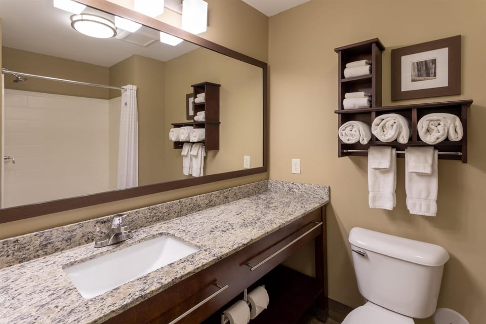 Combined shower/tub, free toiletries, hair dryer, towels