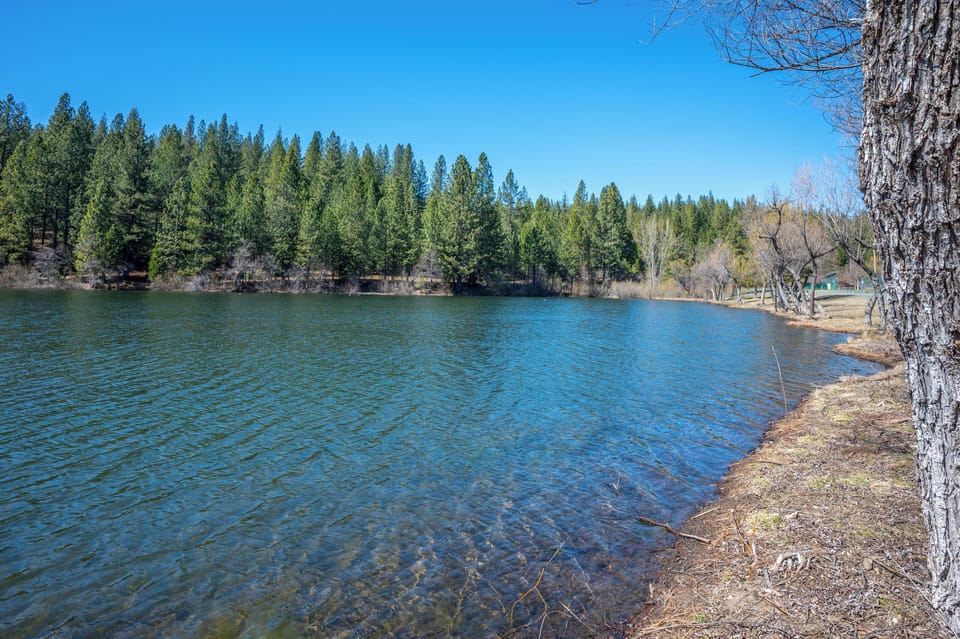 White Pines Lake