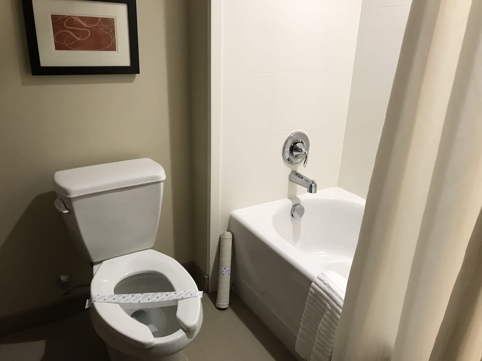 Free toiletries, hair dryer, towels
