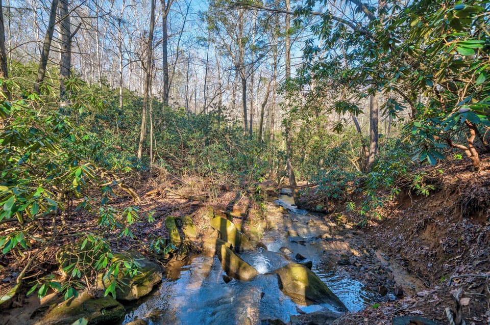 Misty Creek