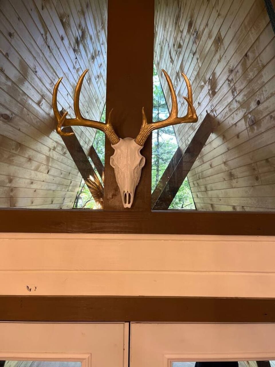 Faux deer head keeping watch over our guests and bringing luck to all who enter!