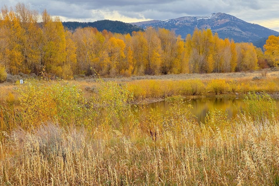 Enjoy peace and tranquility as you look out at the serene pond just behind the home.