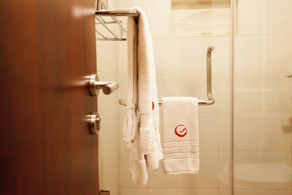 Deluxe Double Room | Bathroom | Shower, free toiletries, towels, soap