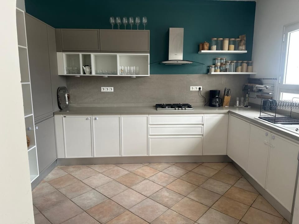 Deluxe Villa | Private kitchen | Full-size fridge