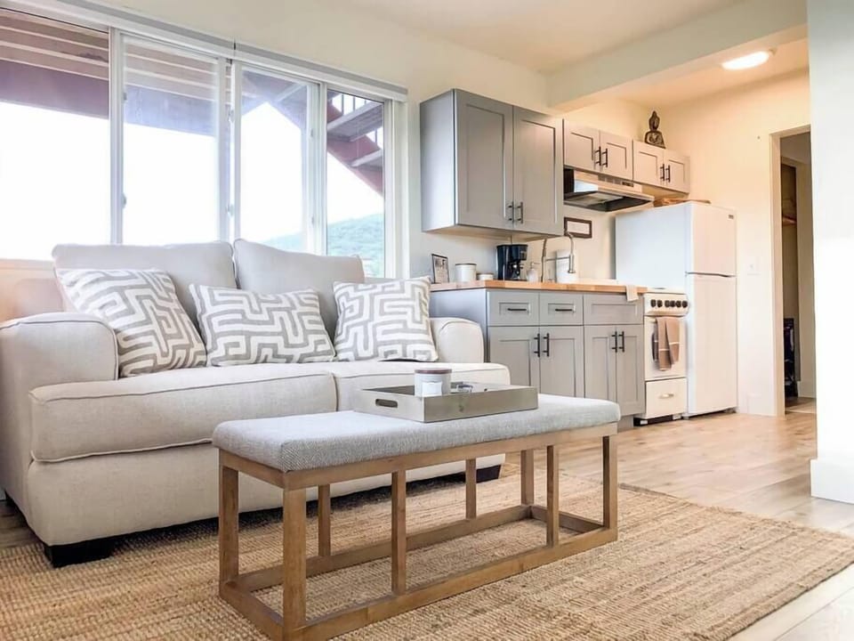 Living Room / Kitchen