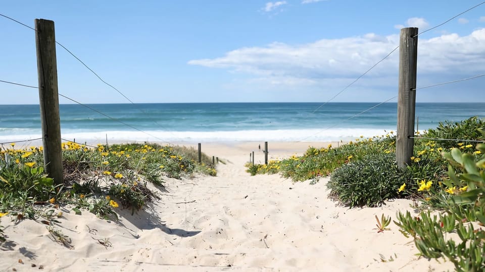 Beach