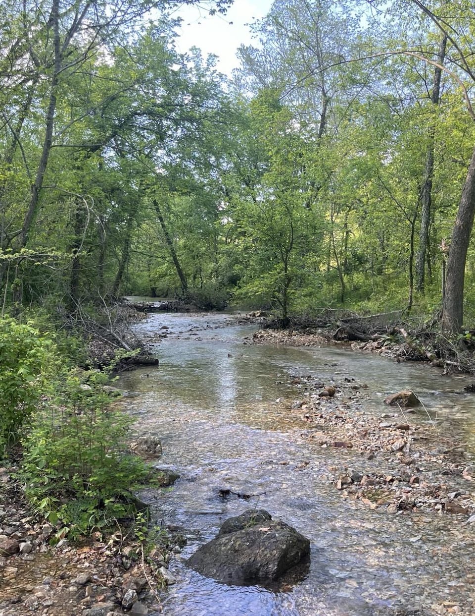 Wet weather creek and trails to explore!