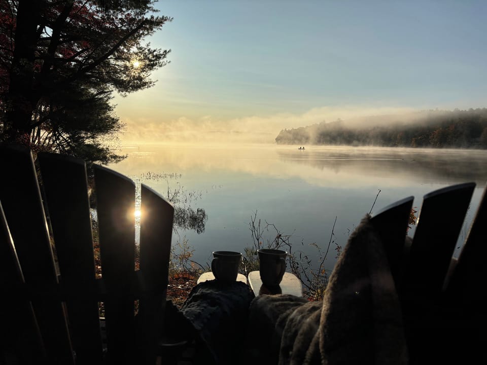 Start your day with a calming view from the lakeside yard.