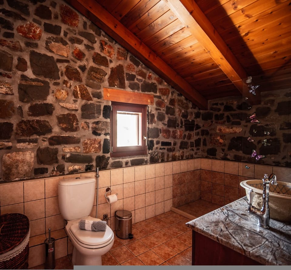 Villa Gaia With Private Pool Villa in Lasithi