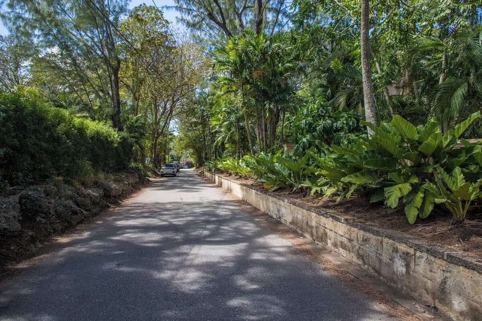 Path towards the property