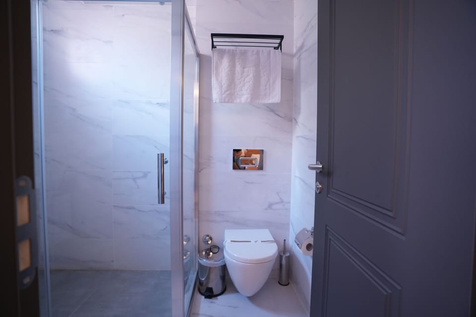 Shower, hair dryer, slippers, towels