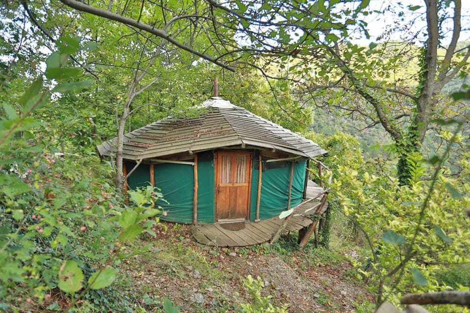 Yurt (1)
