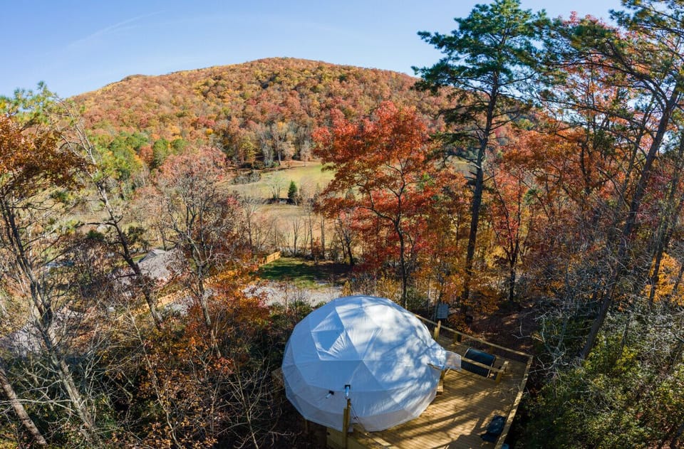 Pisgah surrounds you on both ridges
